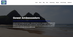 Swansea Website Design. Website Design in Swansea. L7 Digital. L7 website design